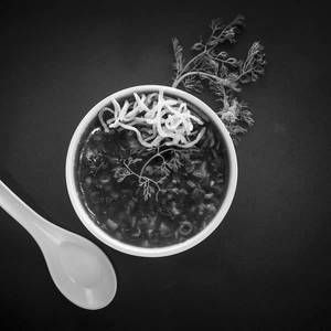Manchow Soup