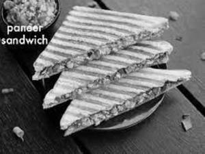 Special Masala Paneer Cheese Grill