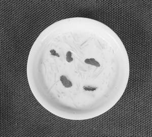 Sevaiya Kheer 