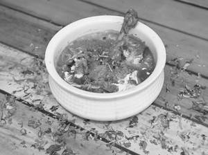 Chicken Curry