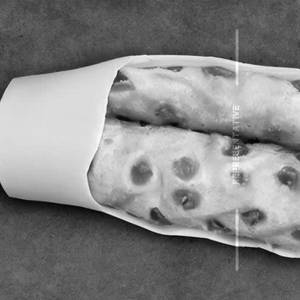 Egg Chow Roll 