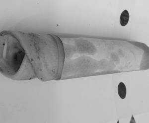 Veg roll