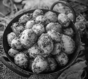 Aloo Jeera