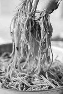 Chilli Garlic Noodles