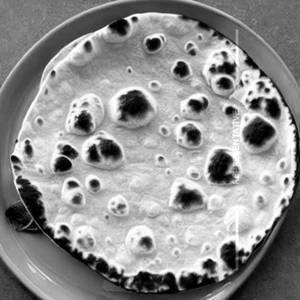 Roti