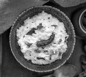 Curd Rice                         