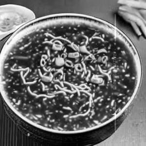 Chicken Manchow Soup: