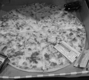 Chicken and cheese                                                                                       