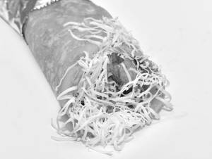 Veg Cheese Roll