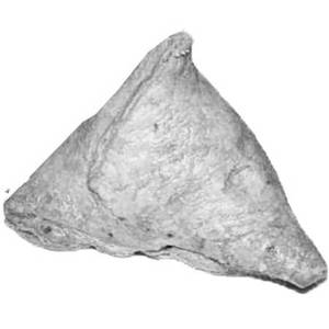 Baked Samosa