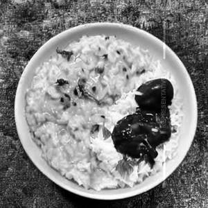 Curd Rice