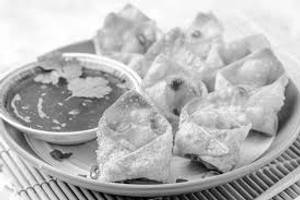 Non Veg Fried Wontons