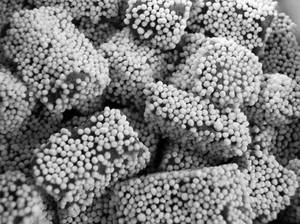 Balmithai (Garhwal speciaL) 1kg