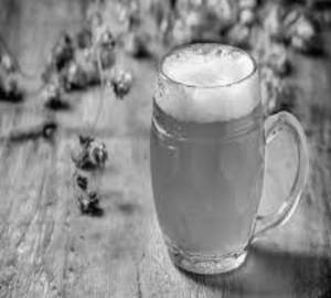 Fruit Beer Soda
