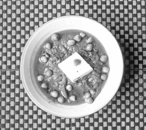 Mutter Paneer