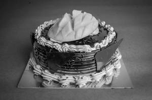 Chocolate Fresh Mango Cake
