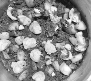 Mutton Keema Khichdi
