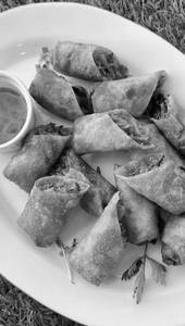 Veg Spring Roll