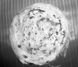 Round Parotta ( Single )