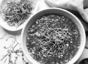 Manchow Soup