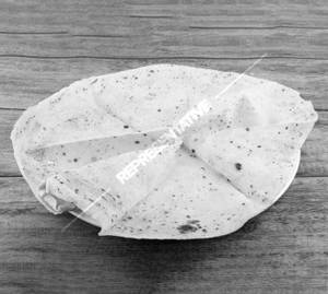 Butter Rumali Roti
