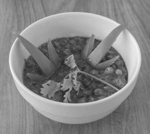Green peas masala