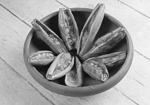 Potol Bhaja