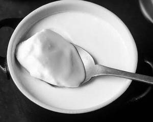 Extra Plain Curd