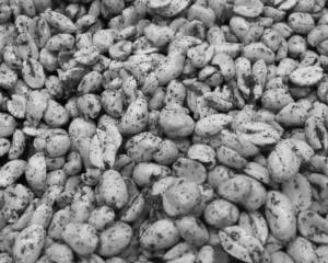 Spicy peanuts