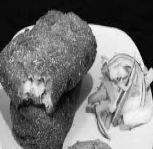 Fish Fry (2 PC )