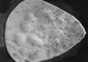 Ghee Paratha