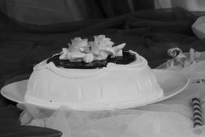 Vanilla Eggless Cake