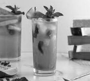 Watermelon Mojito  