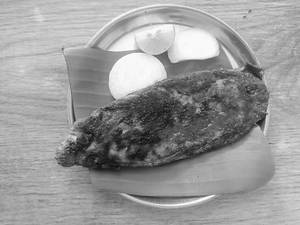 Surmai Tawa Fry