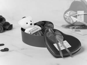 Teddy Gift Box
