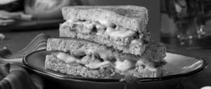 Maxican Cheese Sandwice {jhamboo Grilled}