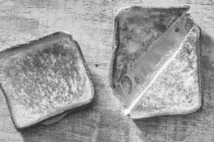 Mayo vegi sandwich