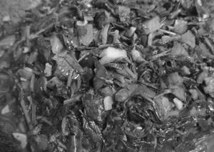 Lasooni Methi