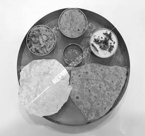 Mini Meals