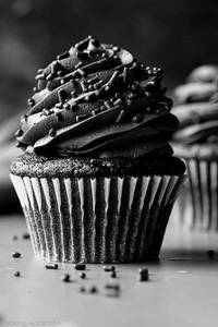 Chocolate Mini Cupcake