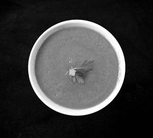Tomato Soup