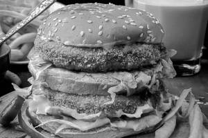 Double Crispy Paneer Burger