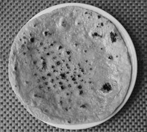 Tawa Roti