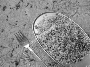 Veg Fried Rice