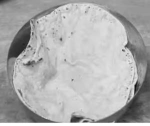 Pulka [1 Pc]