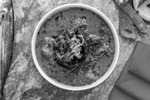 Chicken Dhaniya Adraki  [serves 1-2] [500 Ml] [2 Piece]
