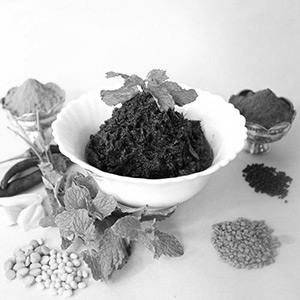 Pudhina / Mint Pickle Andhra Style (250 Gms)