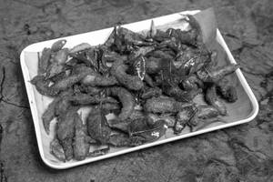 Nethly Fish Fry