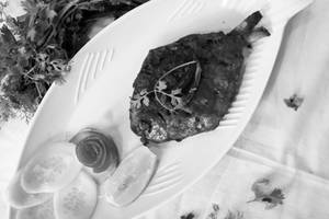 Tawa Pomfret