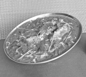 Paneer Tikka Lababdar